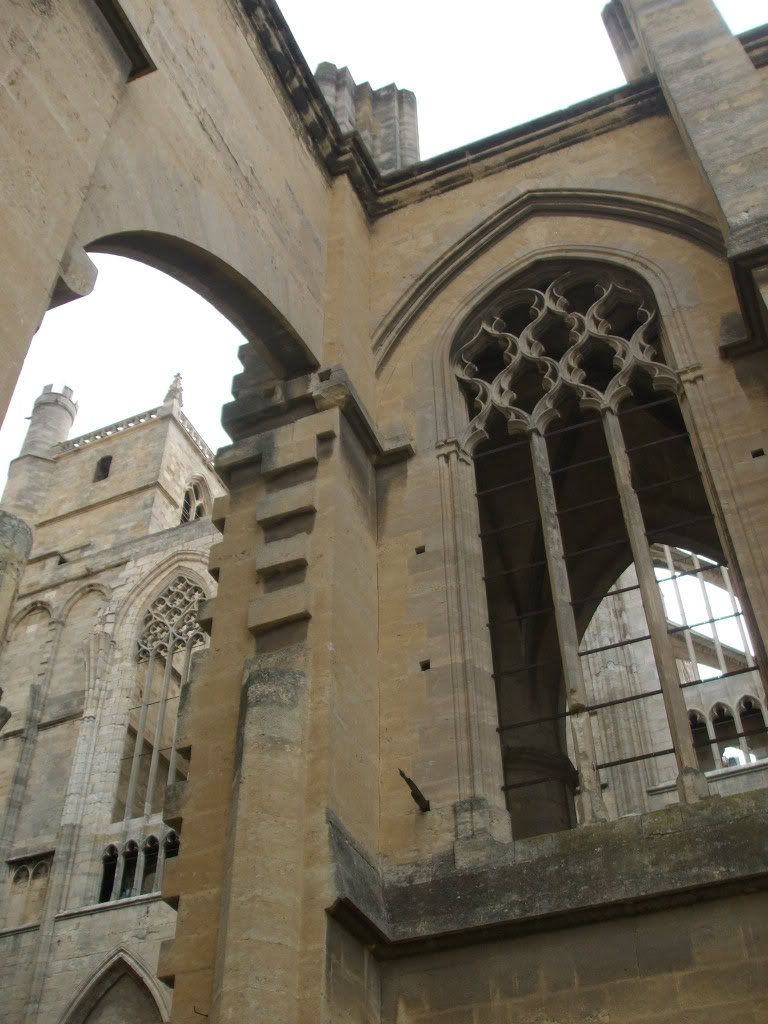 121CathedralNarbonne