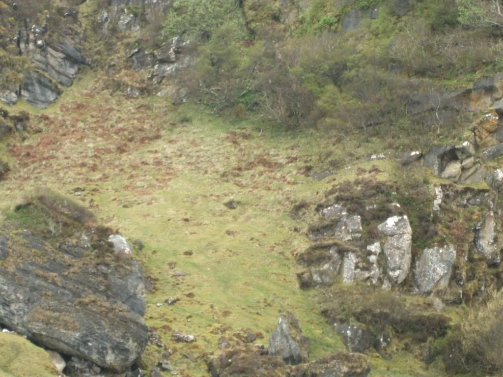 photo Skye2013098_zps5b5b83e8.jpg