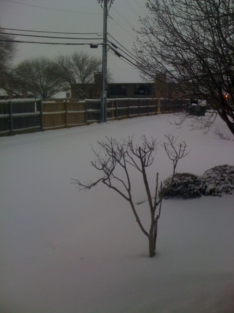 photo-2.jpg