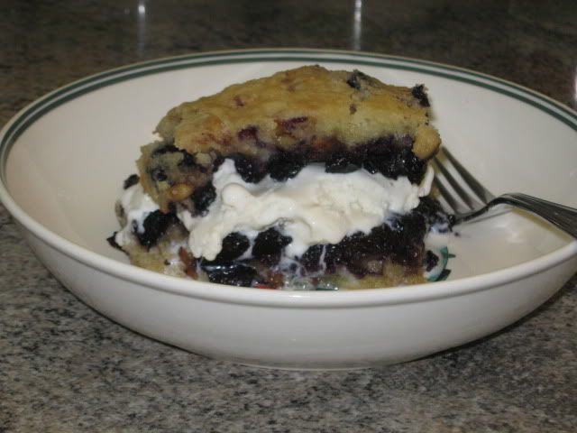 BGEblueberrybars8-8-09004.jpg