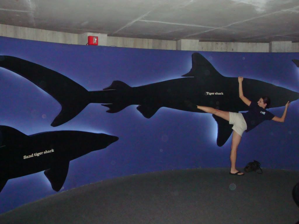 Jess and shark