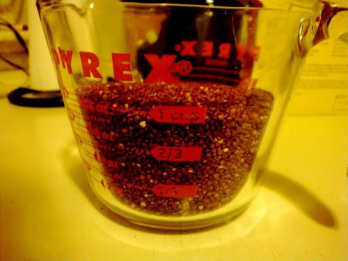 Quinoa grains