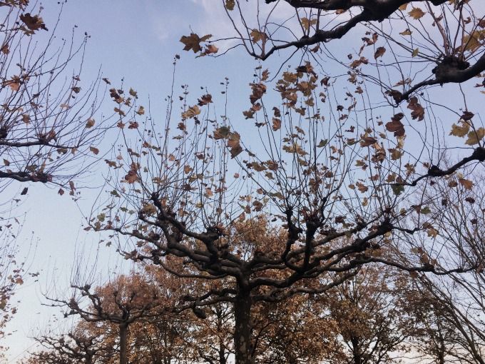 photo 2014-11-22112712_zps713be5cb.jpg