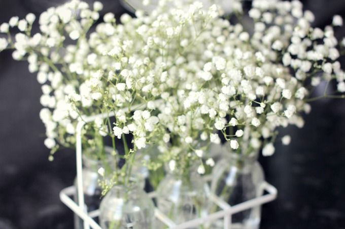 photo mb-01_zpsso5nxpuk.jpg