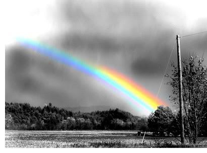 black-and-white.jpg rainbow image by tutie_17_14