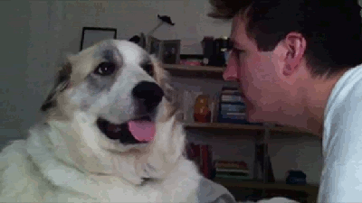1328477138716.gif