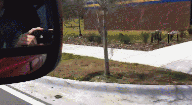1328483388940.gif