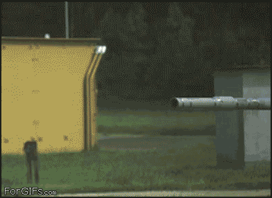 1329830801193.gif