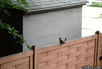 1329947187217.gif