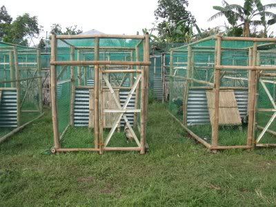 Gamefowl+Fly+Pens Gamefowl Pen Design http://www.sabong.net.ph/forum/showthread.php?t ...