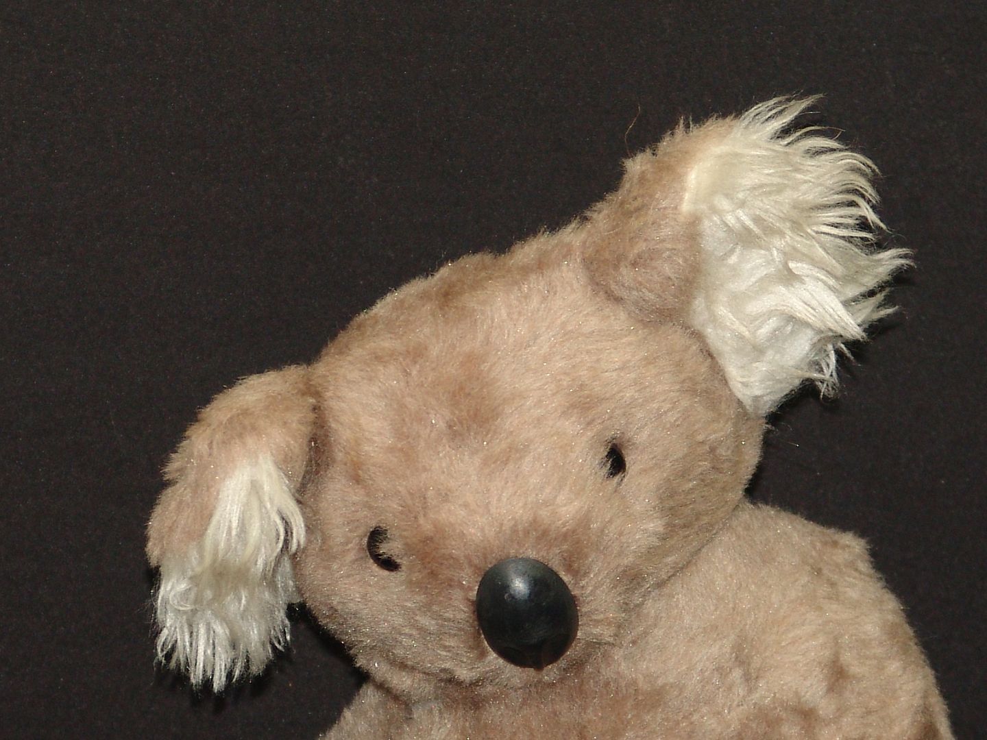 gund koala bear