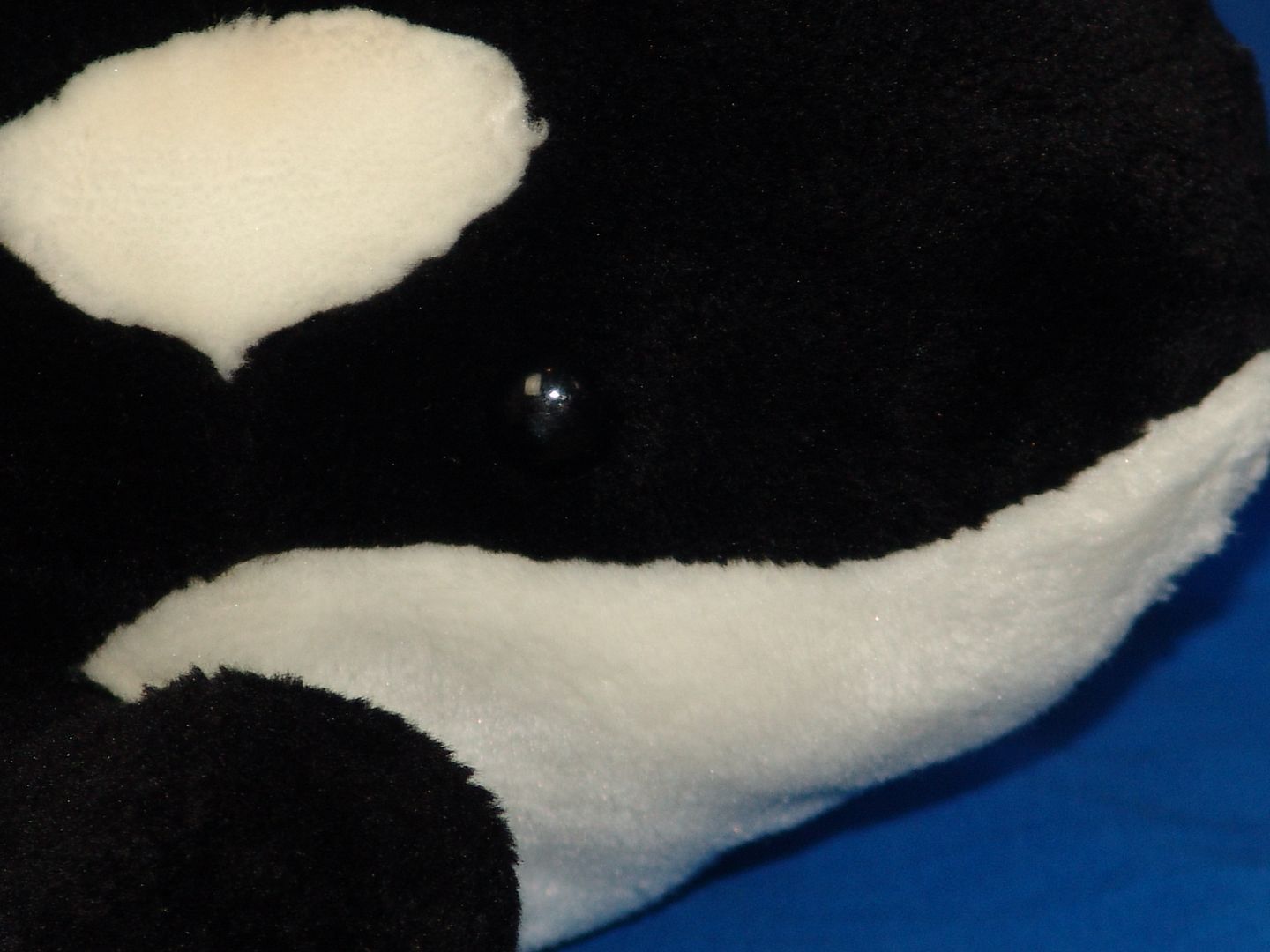 giant shamu plush