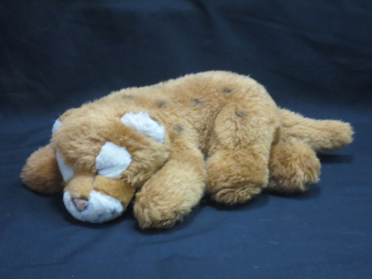 stuffed lion cub