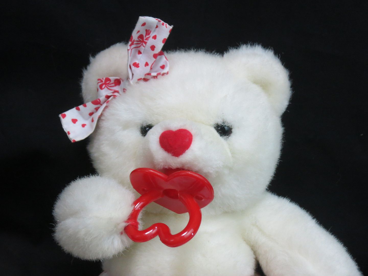 pacifier teddy bear
