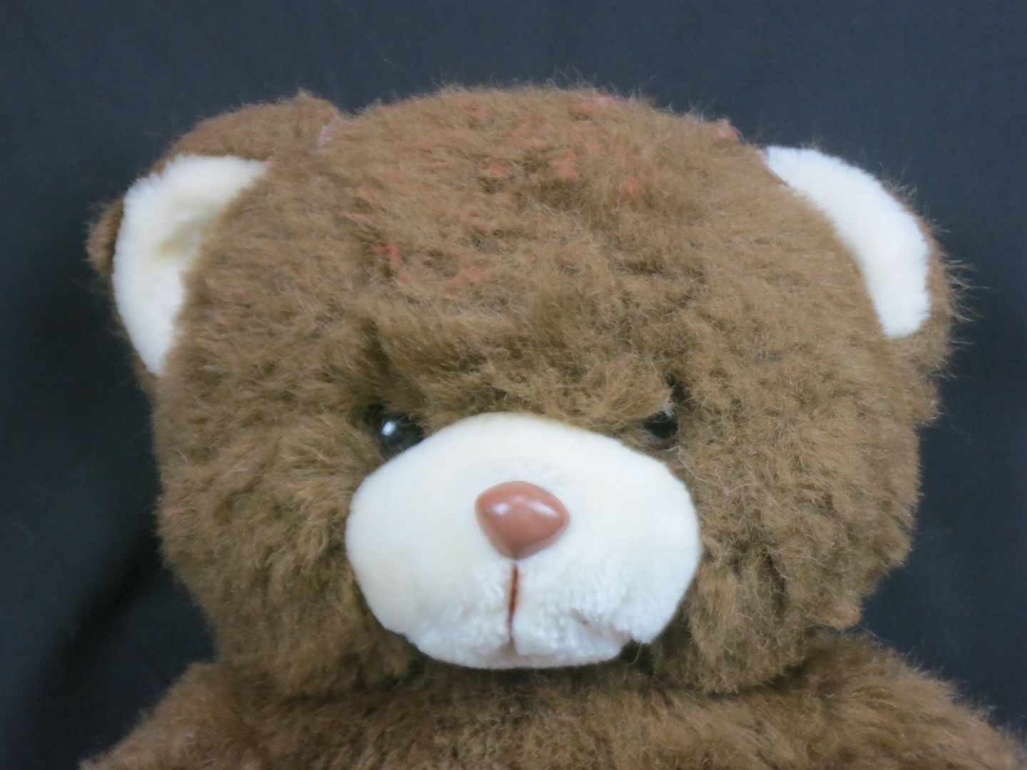 teddy bear plastic toy