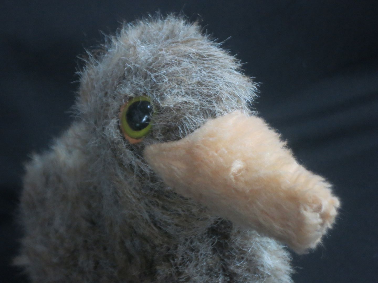 vintage fuzzy australian kiwi bird flightless wingless plush