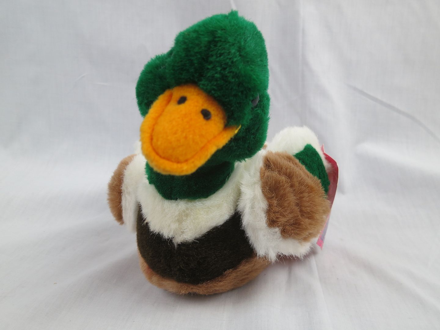 stuffed mallard duck