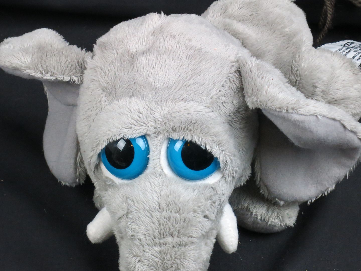 stuffed animal with big eyes