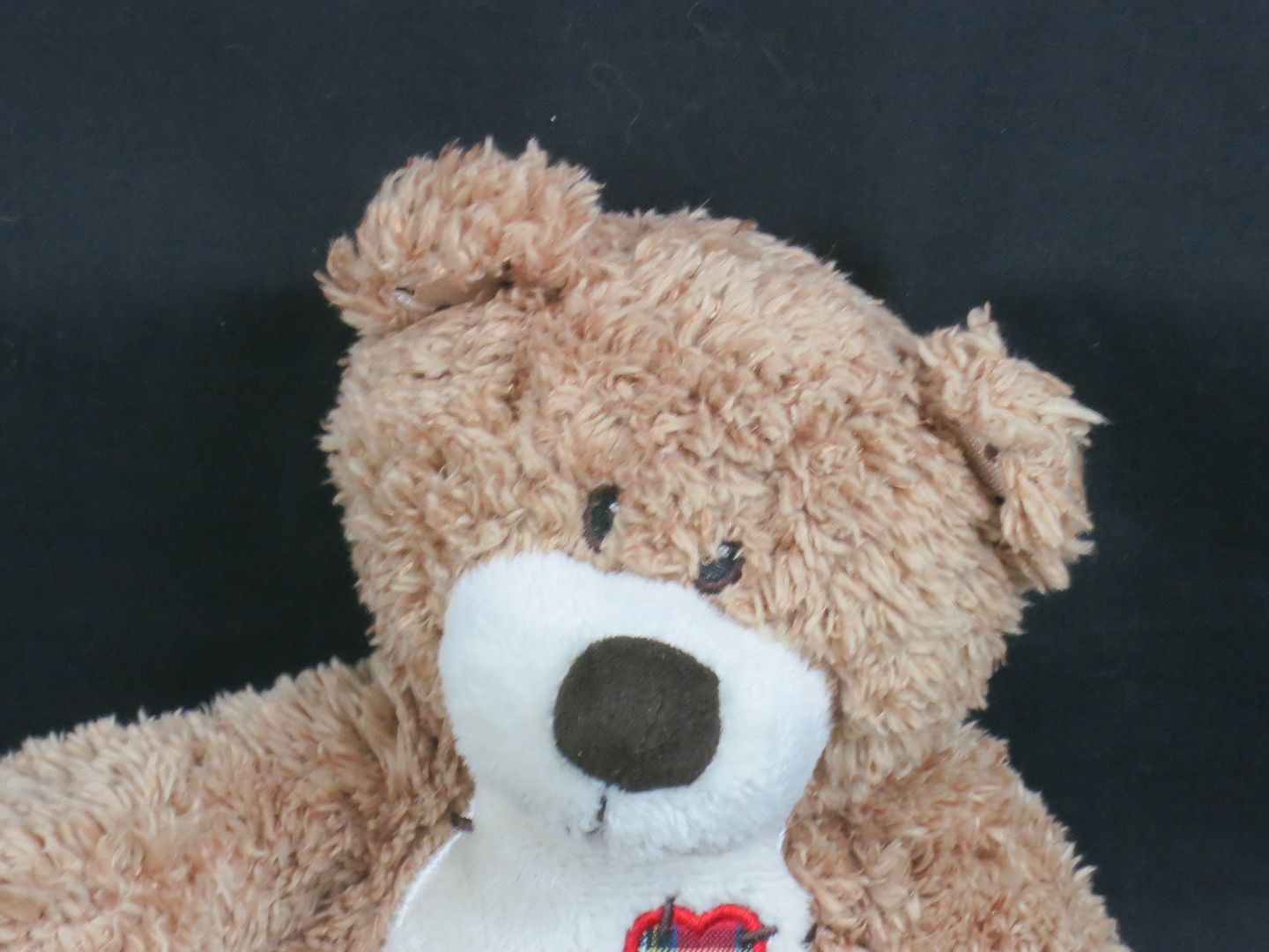 patched up teddy bear