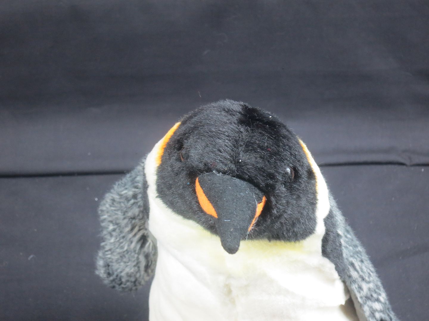 webkinz signature penguin