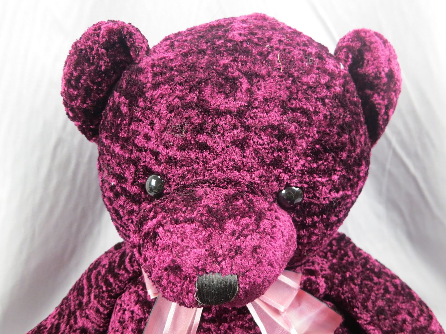 maroon color teddy bear