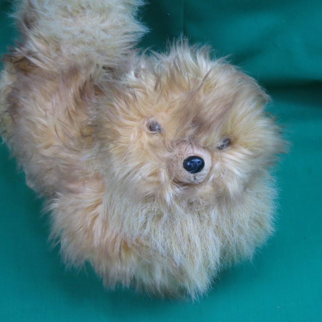 stuffed pomeranians