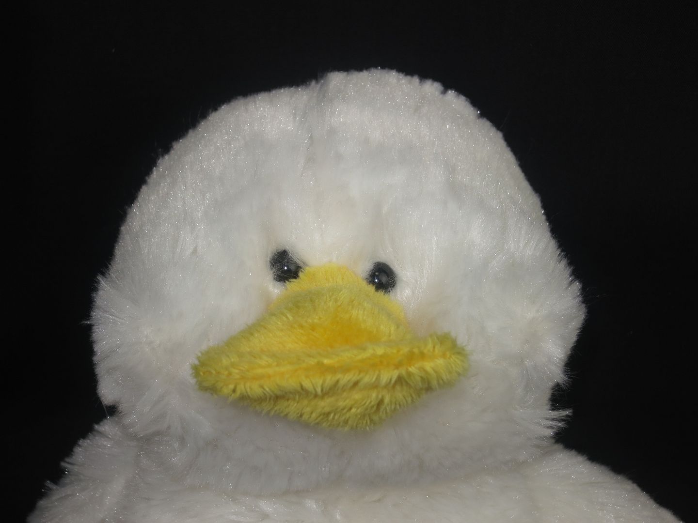 webkinz white duck