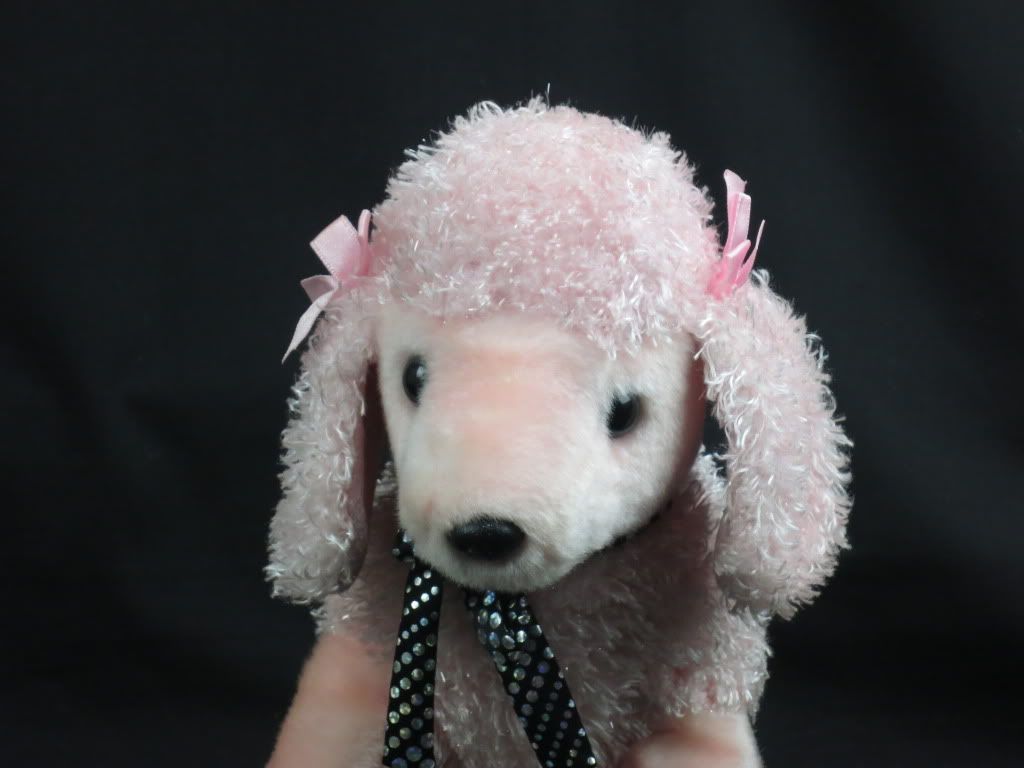 plush pink poodle