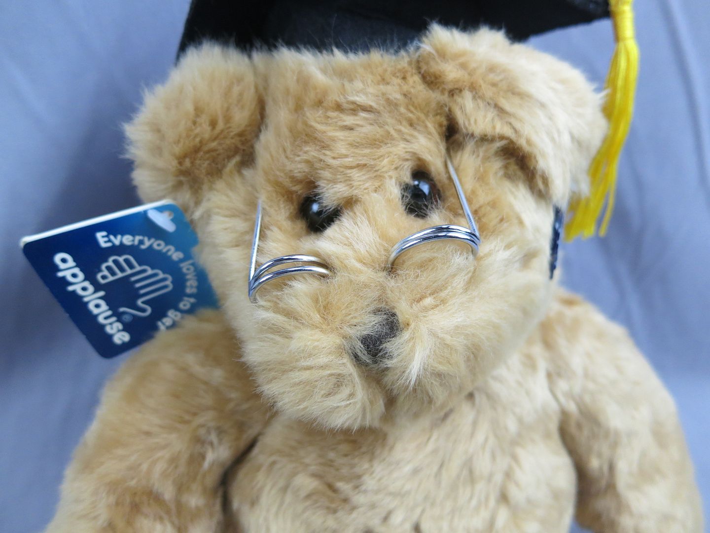 teddy bear spectacles