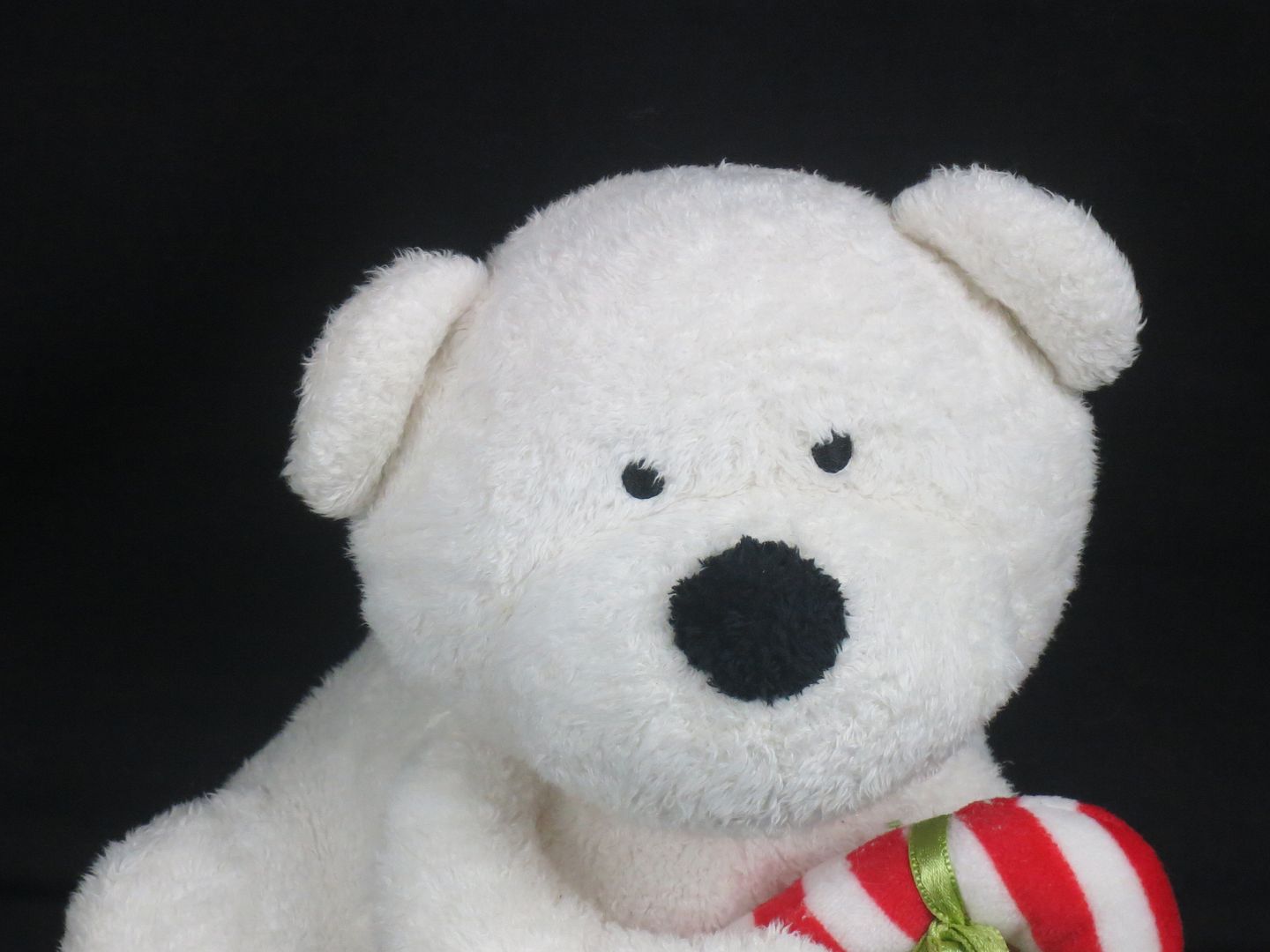 candy stuffed animal