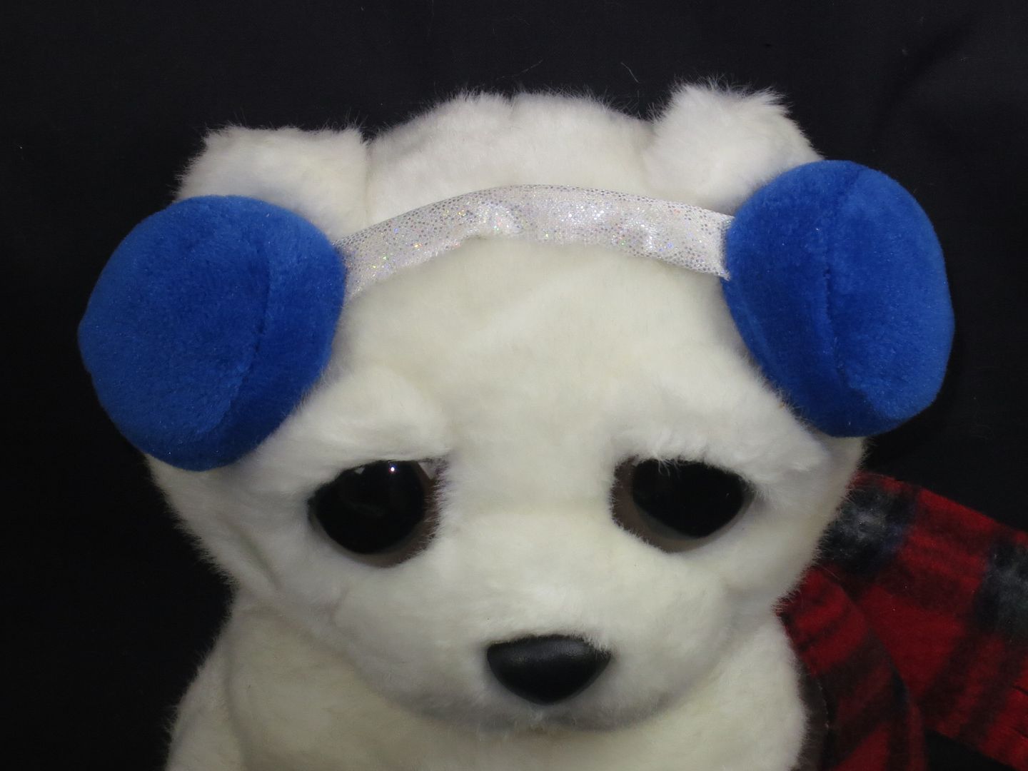 aurora white teddy bear