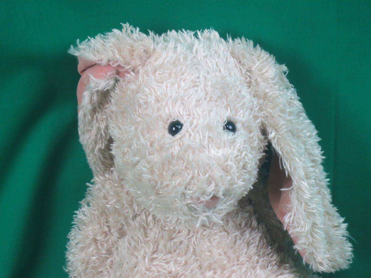 jellycat floppy bunny