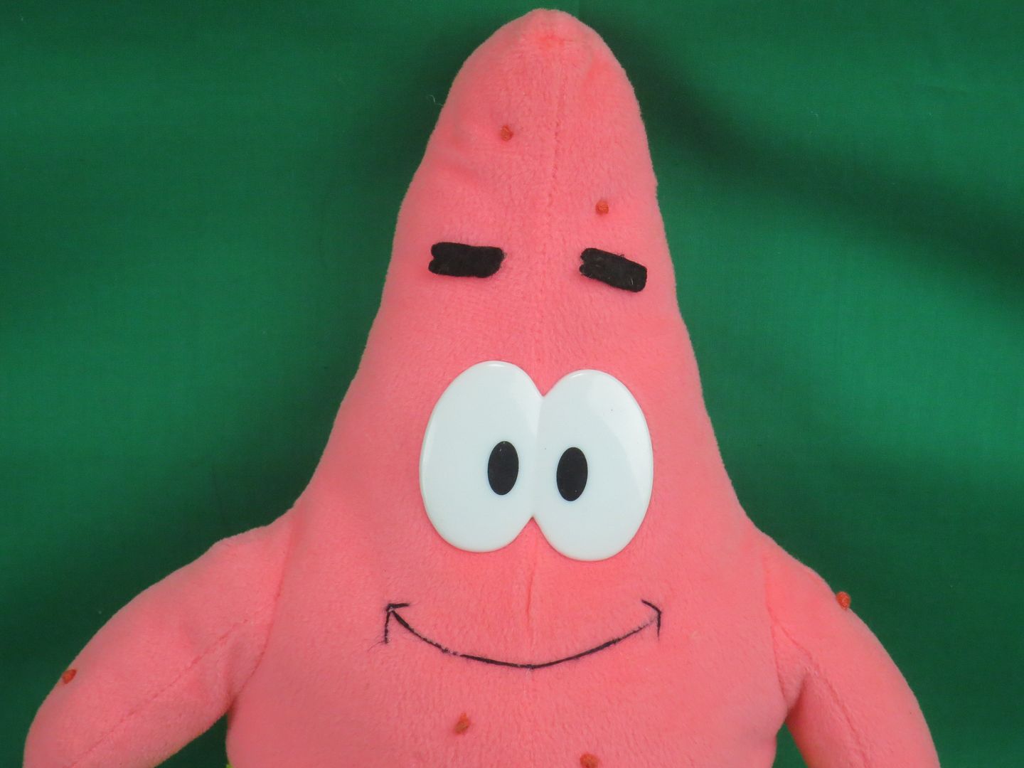 patrick stuffed dog