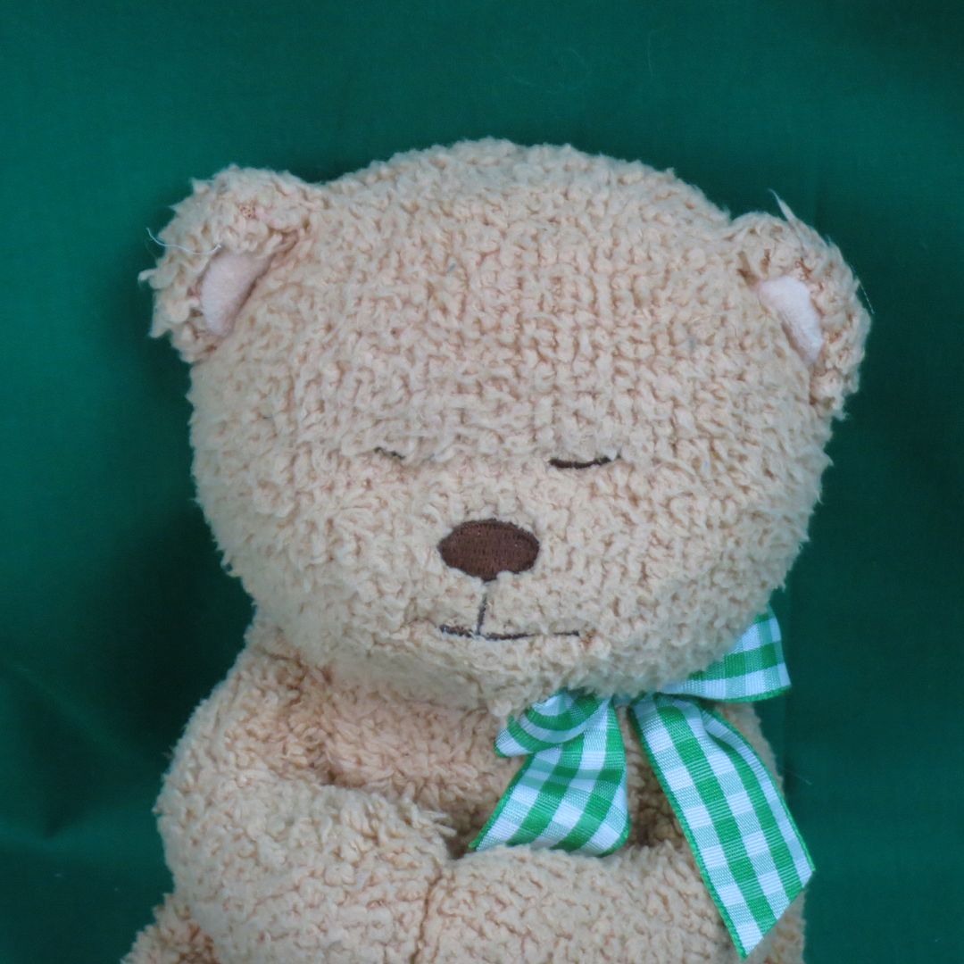 talking prayer teddy bear