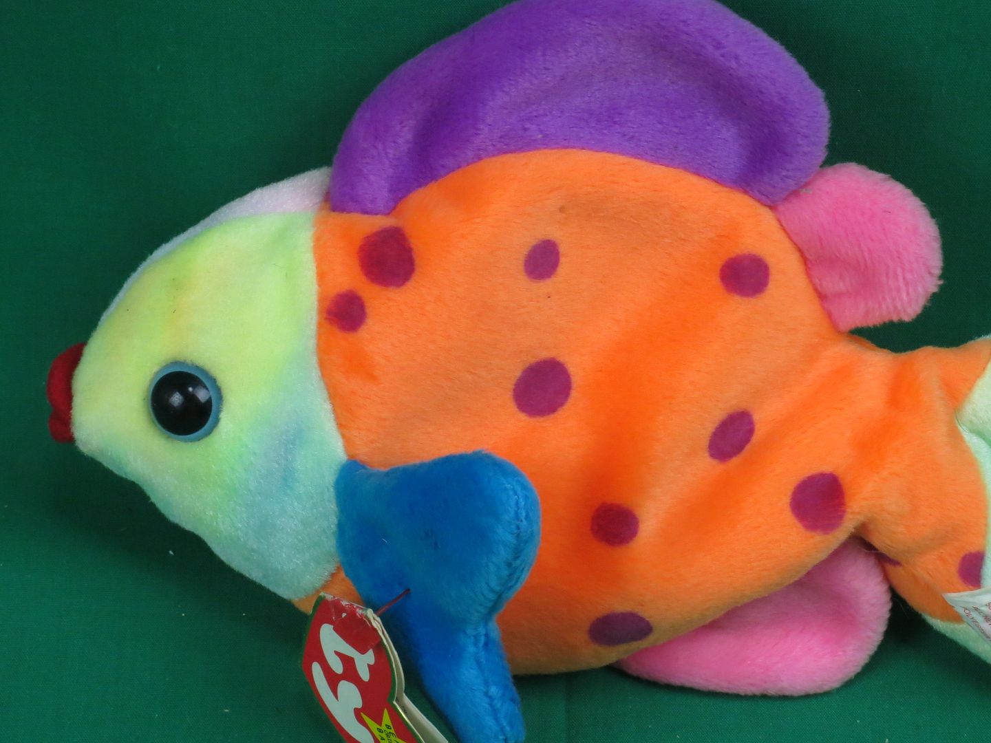 ty fish stuffed animal