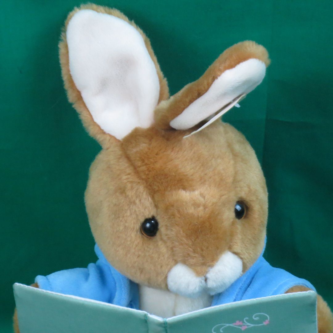 storytelling plush toy