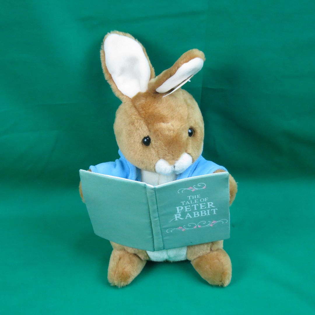 peter rabbit book and stuffed animal