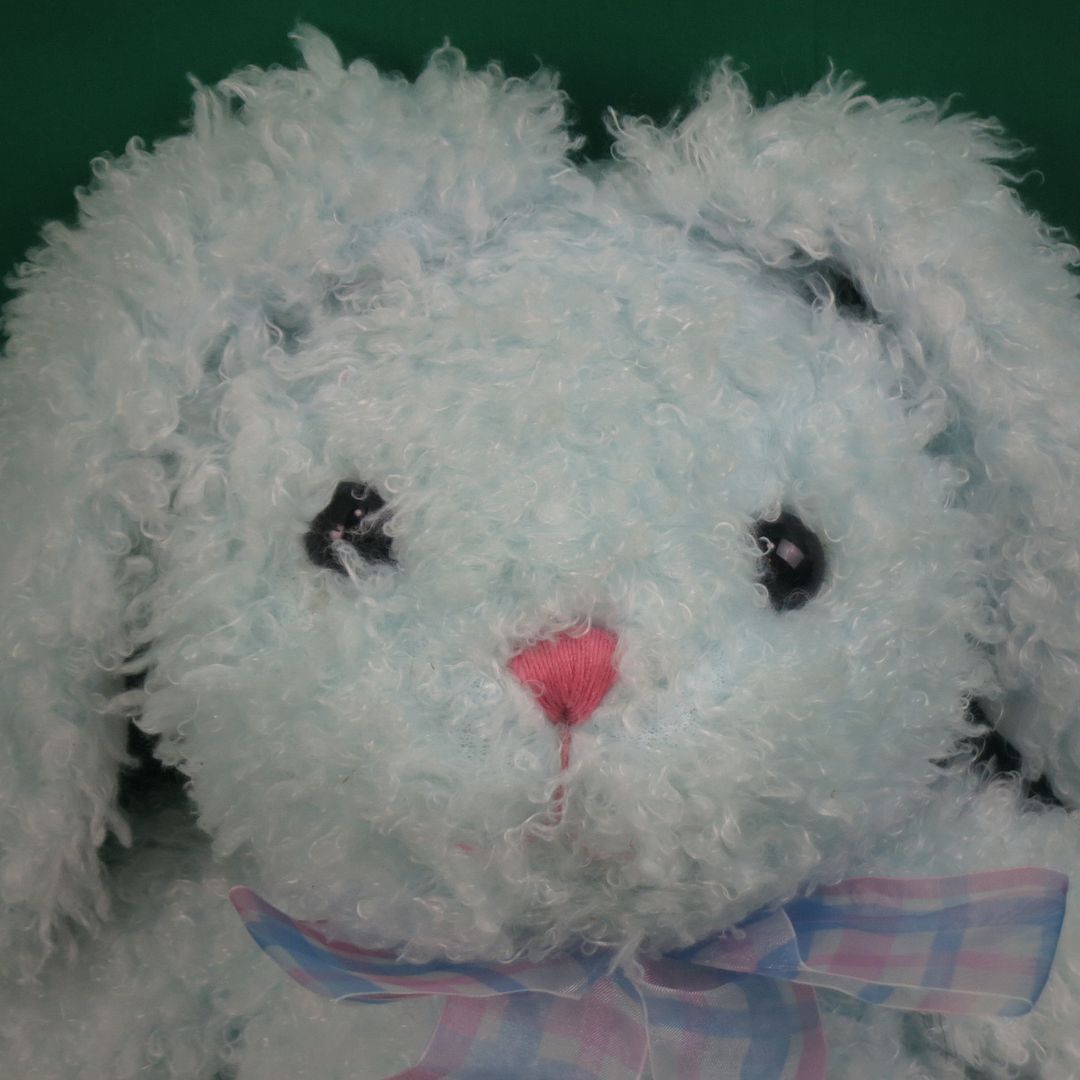 bunny teddy kmart