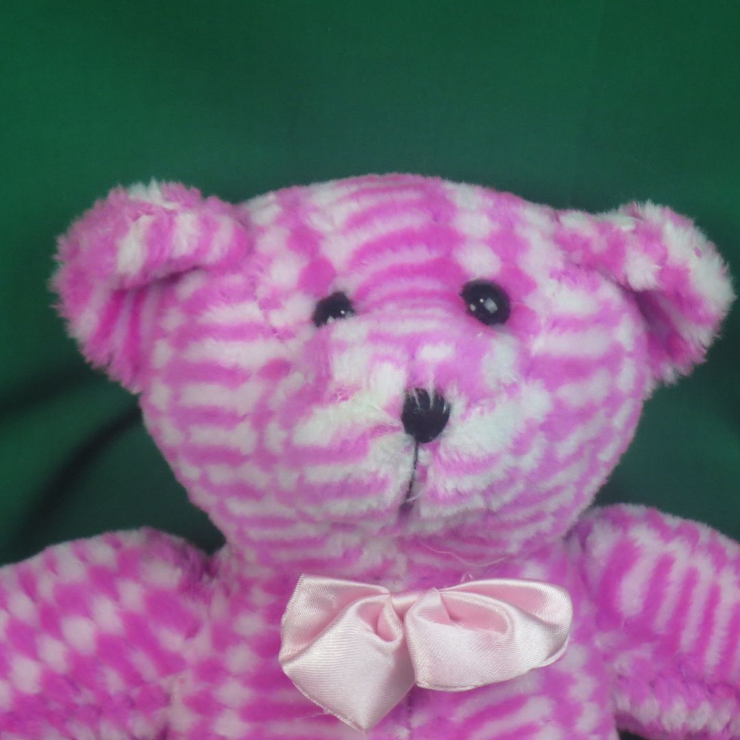 striped teddy bear