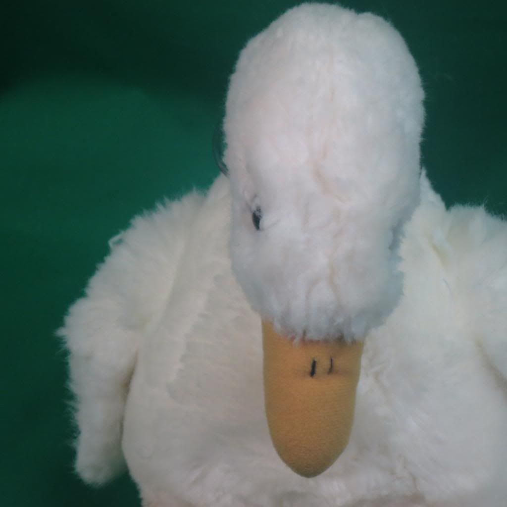 stuffed white duck