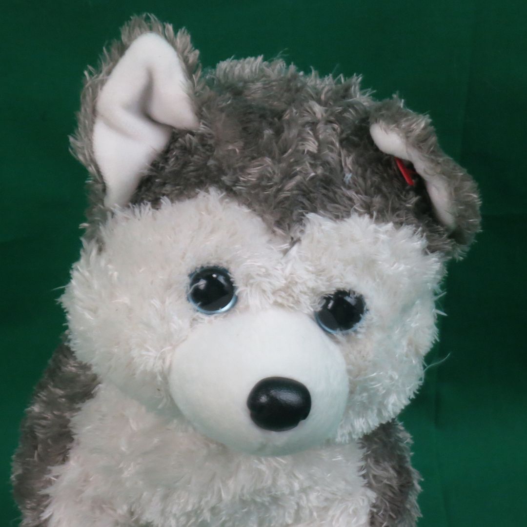 ty stuffed husky