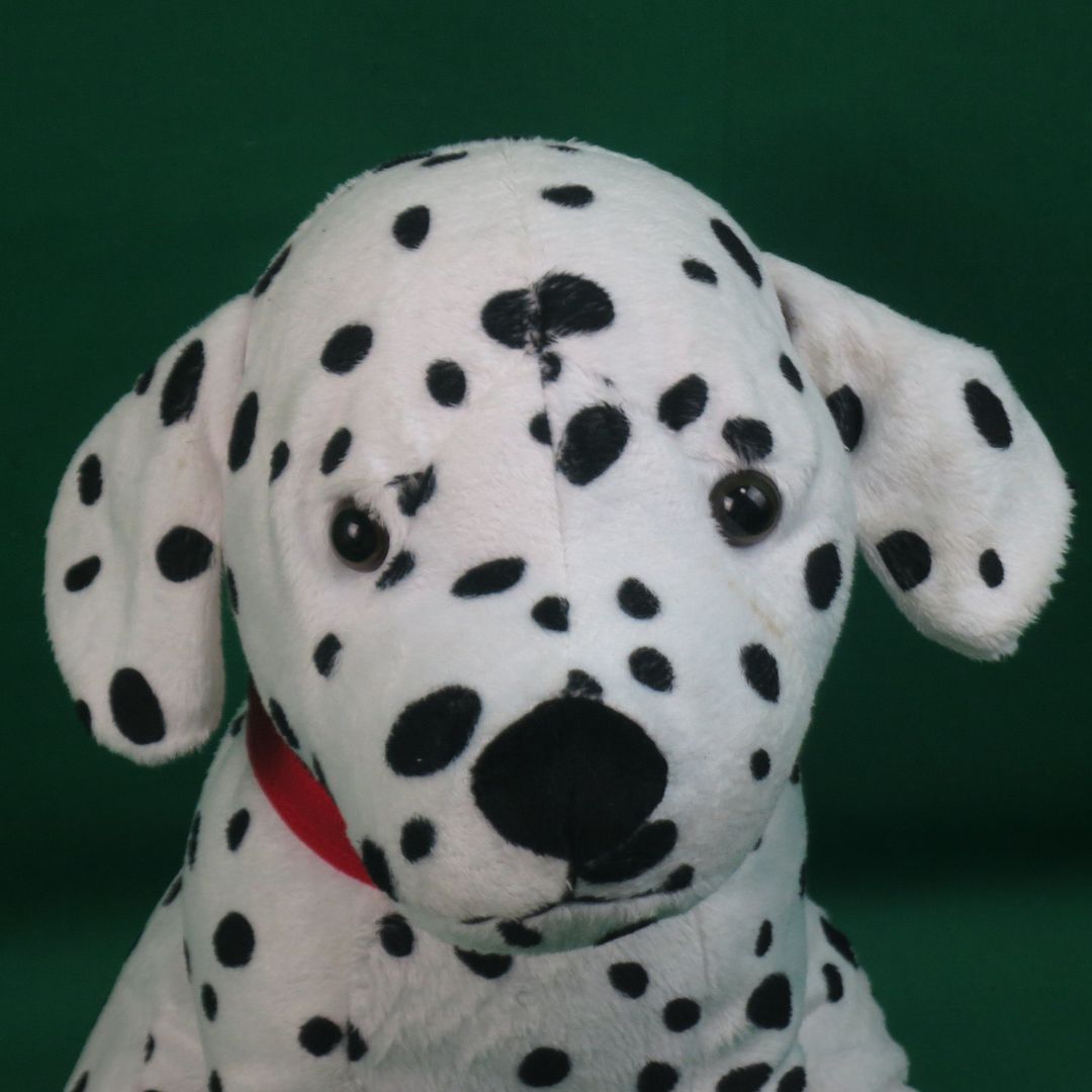 dalmatian firehouse dog coloring pages - photo #35