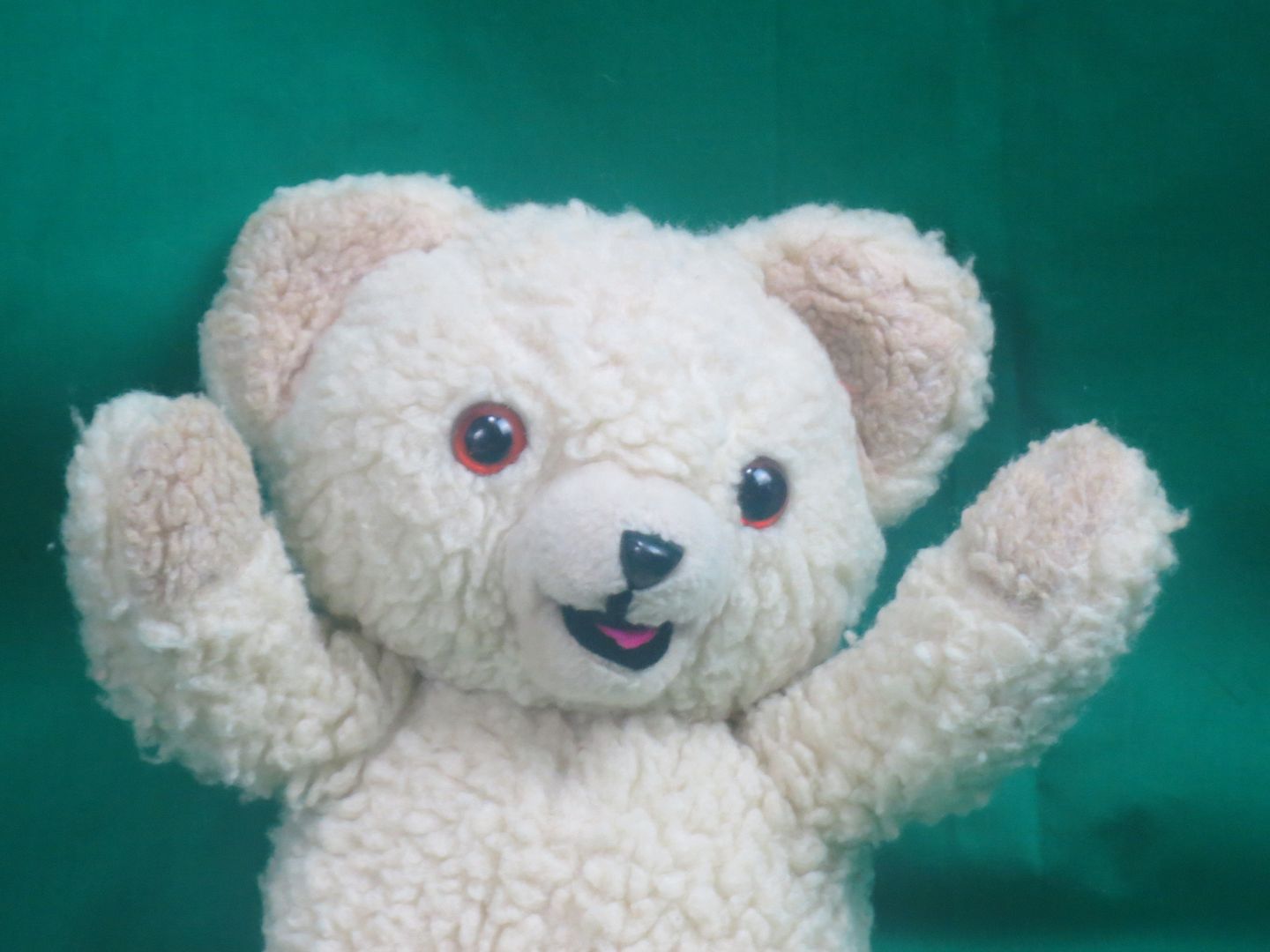 woolly soft toy