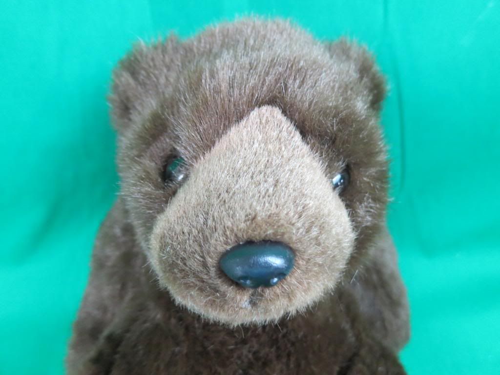 spectacled bear plush