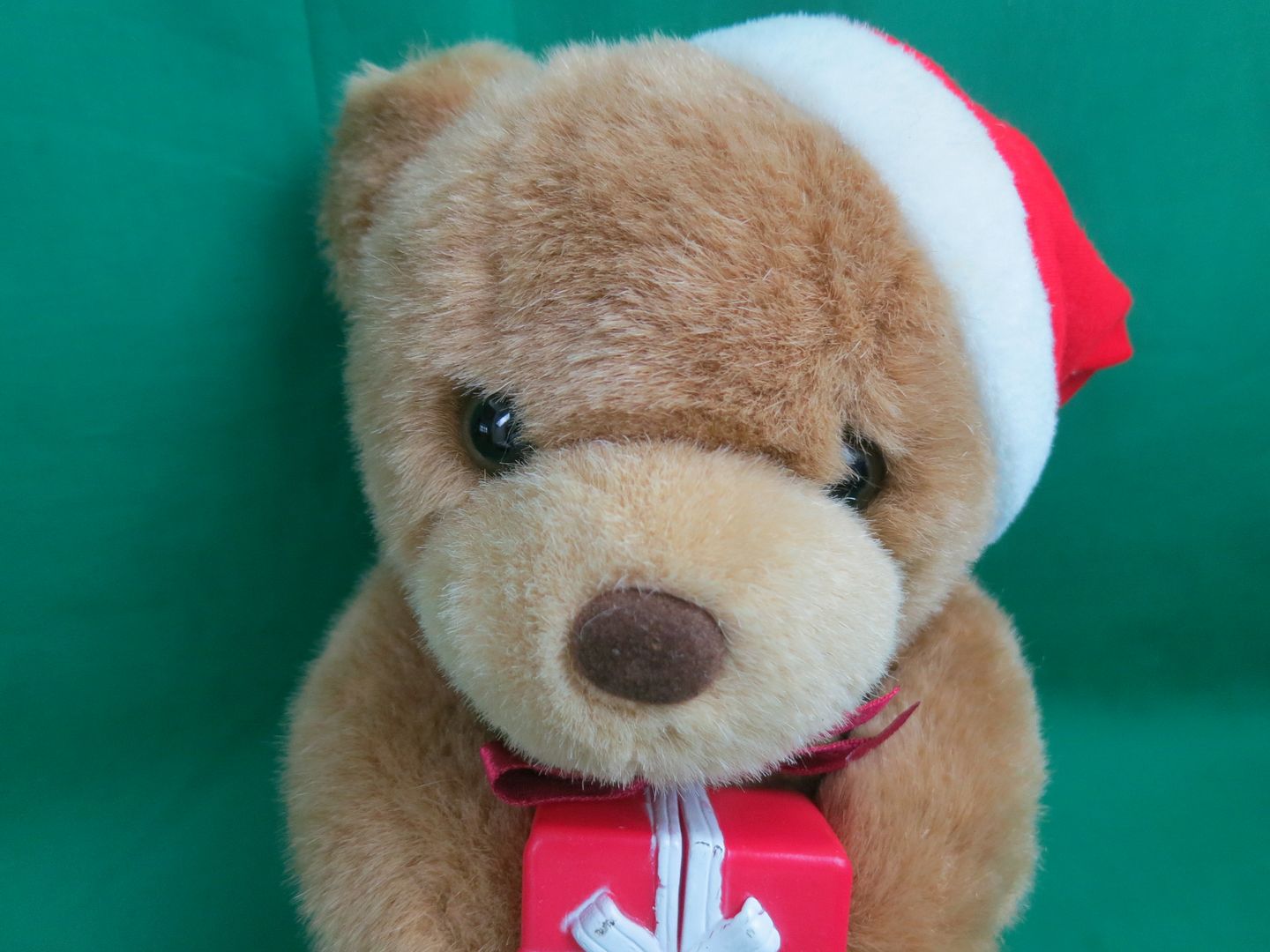 teddy bear with santa hat