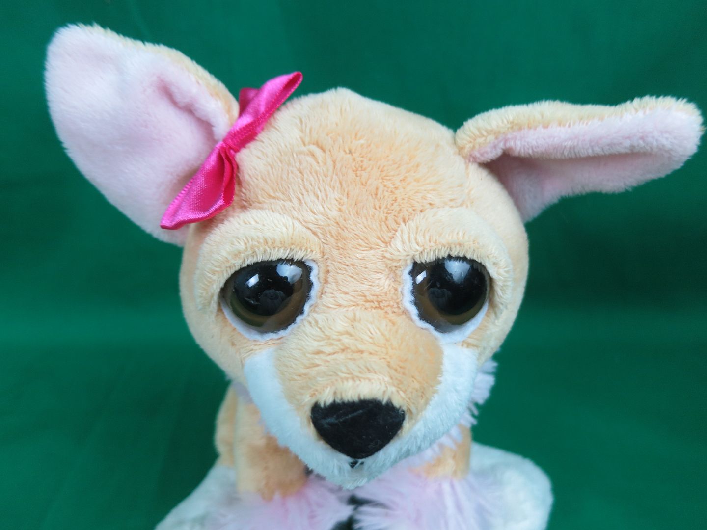 the petting zoo plush dog