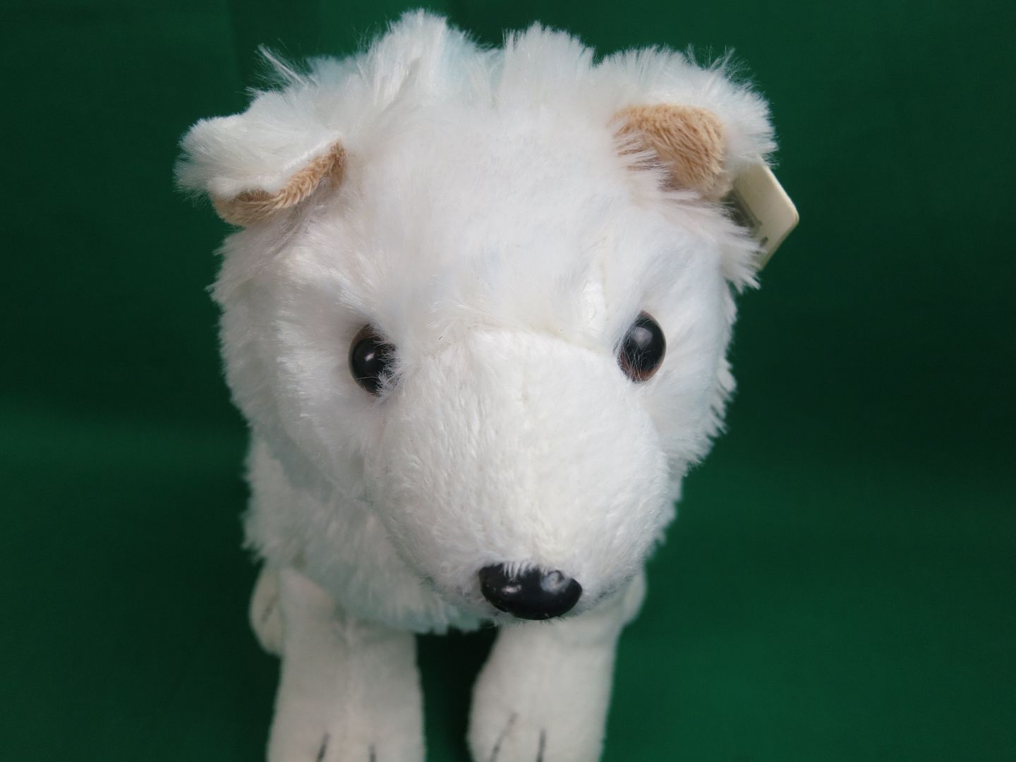 arctic wolf plush