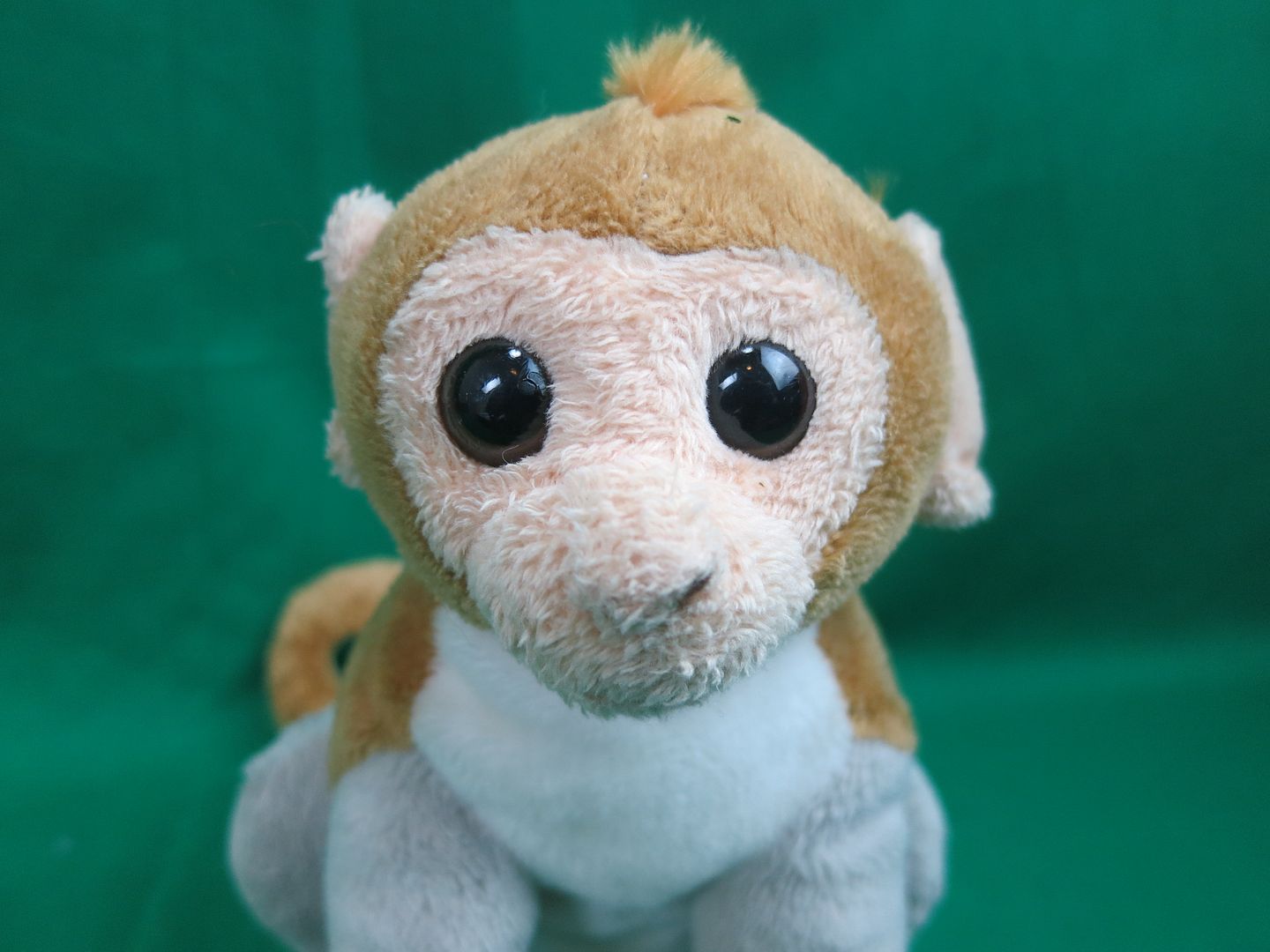 capuchin monkey toy