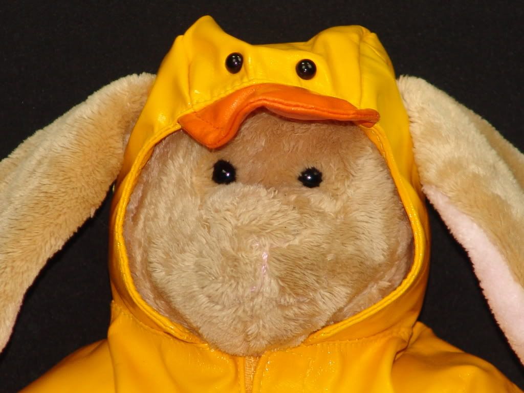 MARY MEYER YELLOW DUCK RAIN JACKET BUNNY RABBIT PLUSH STUFFED ANIMAL TOY