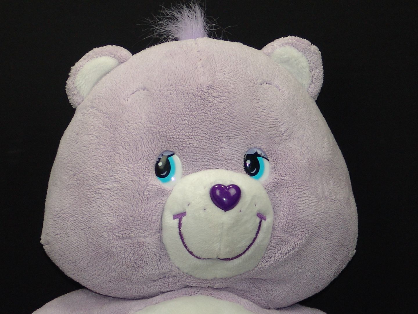 harmony care bear plush